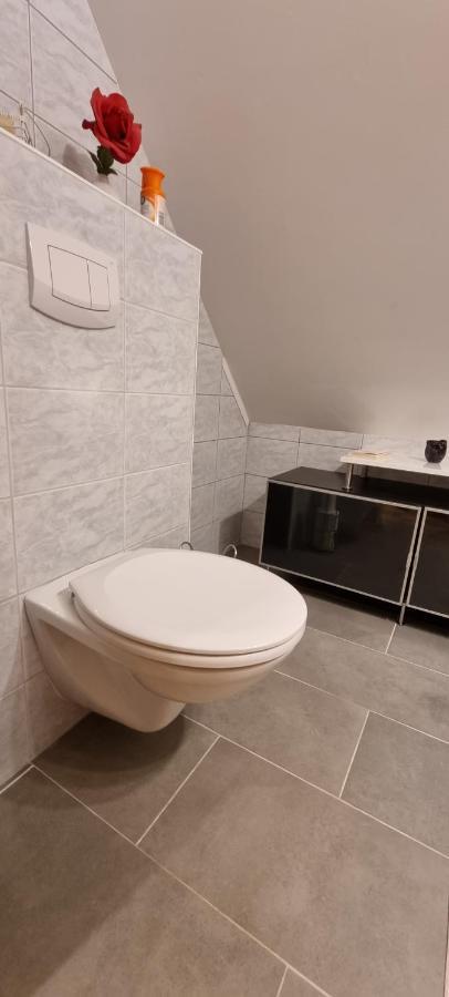 Apartment Mittelpunkt - Kaufmann Sankt Stefan ob Leoben Dış mekan fotoğraf